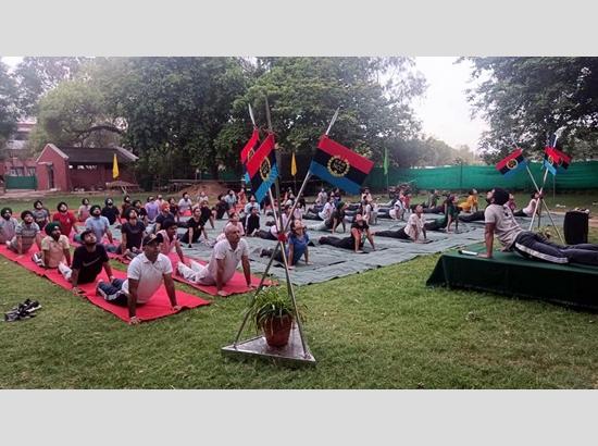 Vet Varsity celebrates International Yoga Day