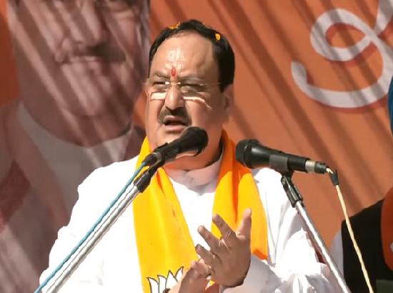 No one else has done the kind of work PM Modi did for Sikhs, says JP Nadda; slams Congress for 1984 anti-Sikh riots