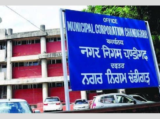 MC Chandigarh intensifies anti-encroachment drive, issues 2,781 challans