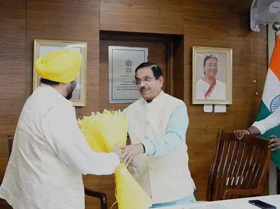 Central team to assess crop damage in Punjab today; Over 1.3 lakh acres affected