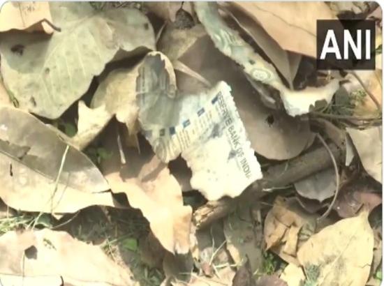 Burnt pieces of currency notes found in garbage near Delhi HC judge Yashwant Varma's residence