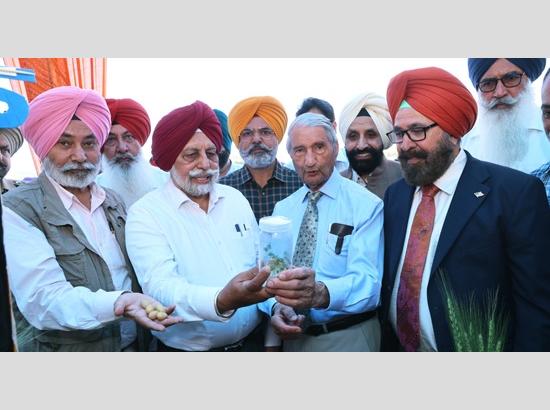 PAU Kisan Mela kicks off: Dr. Gurdev Khush urges shift to water-wise farming for Punjab's future