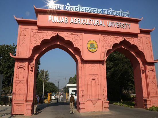 PAU ranked 2nd nationwide, tops among State Agricultural Universities in IIRF 2025