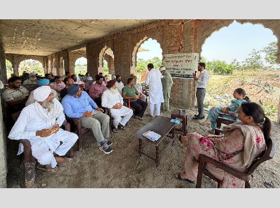 PAU-KVK calls for timely monitoring of paddy nursery for effective 'Dwarfing Virus' control