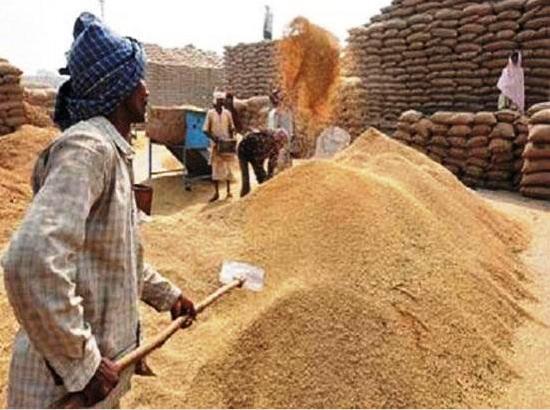 23 % increase in Paddy Procurement at MSP over last year