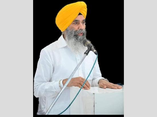 Peer Mohammad backs Supreme Court ruling on stray dogs, seeks harsher punishment for crimes against women and children