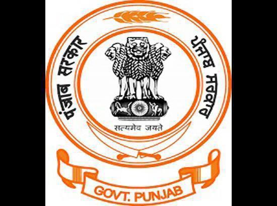 Phulkari - Punjab Government Emporium