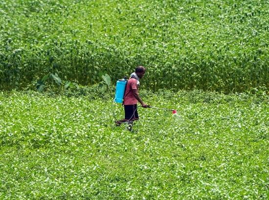 Modi Cabinet raises Rabi MSPs for 2027-28; oilseeds get bigger boost, wheat up by just Rs 25