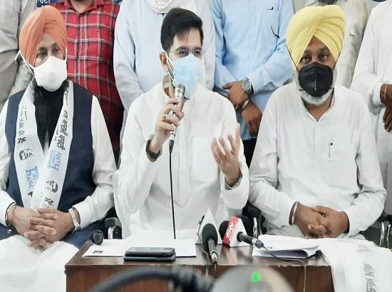 Congressmen exposed, fighting only for chair, not for Punjab: Raghav Chadha