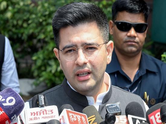 Delhi High Court orders removal of defamatory posts against Raghav Chadha

