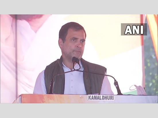 Rahul Gandhi targets PM Modi on demonetization in Hoshiarpur (Watch Video) 