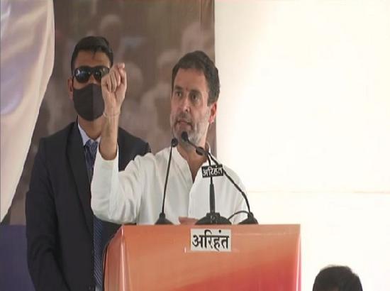 PM Modi brought farm laws to handover agri sectors to top industrialist: Rahul Gandhi