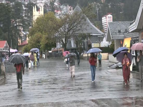 Rain brings down temperatures in Shimla, tourists enjoy fresh showers