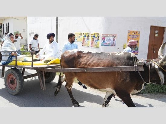 Raja Warring goes to vote on bullock cart, calls it a symbolic protest against fuel price hike