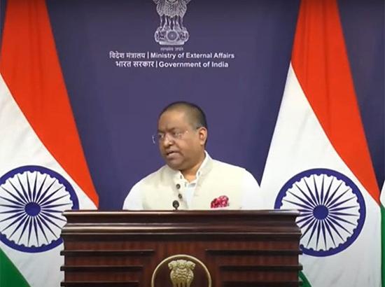 People staying in India illegally will be dealt with as per law: MEA