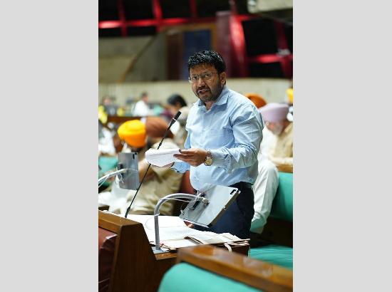 Punjab to launch comprehensive strategy to tackle stray animal menace: Minister Dr. Ravjot Singh