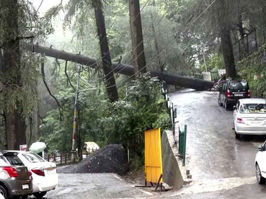 Himachal: Monsoon death toll hits 250 in 61 days; 64 roads blocked, 225 power transformer regions disrupted