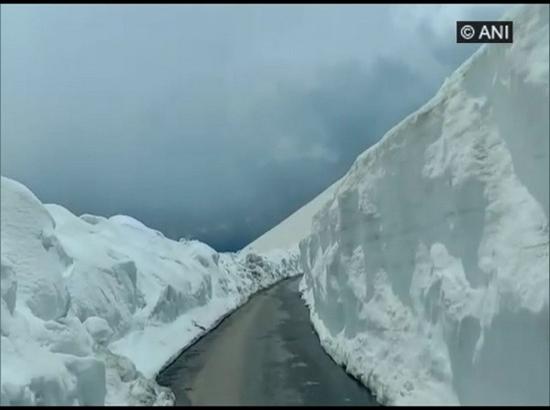 Rohtang Pass reopens for tourists: Vehicles drive through 40-feet-high snow walls