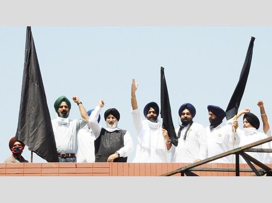 SAD leaders hoist black flags in support of Kisan Morcha 