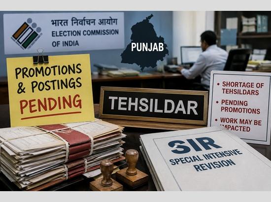 Punjab promotions, posting stalled amid EC restrictions; Employees fear impact on SIR exercise