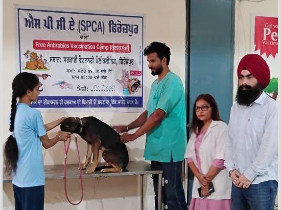 SPCA holds free anti-rabies vaccination camp; 117 stray dogs vaccinated