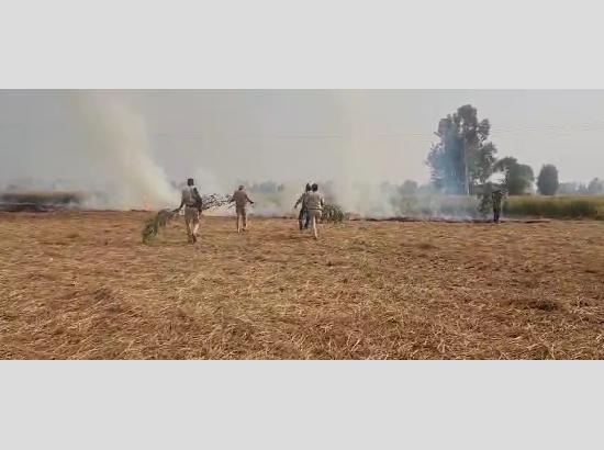 Ferozepur police intensify crackdown on stubble burning, appeals for eco-friendly practices

