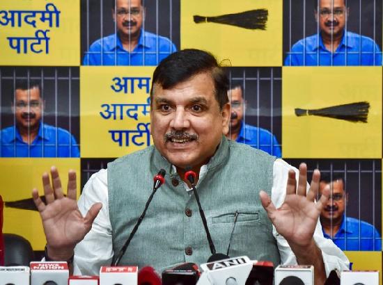 Congress-AAP alliance could have halted Jat-non-Jat politics in Haryana: AAP's Sanjay Singh