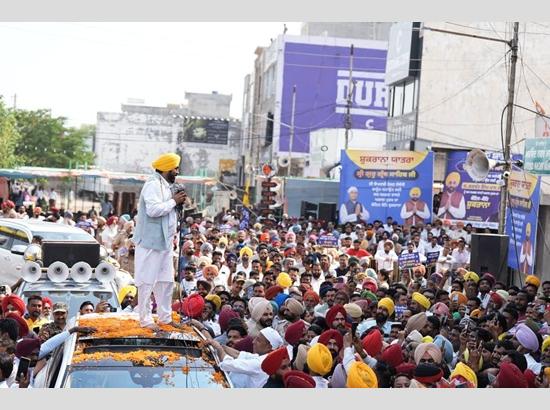 CM Mann: Punjab is witnessing a historic transformation as canal water reaches the tail ends