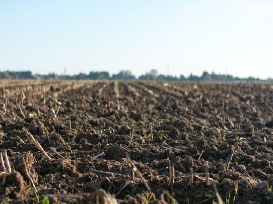 Potassium depletion in soil threatens worldwide food yields: Research