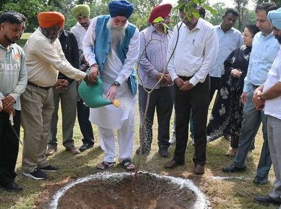 Speaker Kultar Sandhwan plants 40+ fruit trees in Vidhan Sabha Complex, calls for ‘Green Punjab’