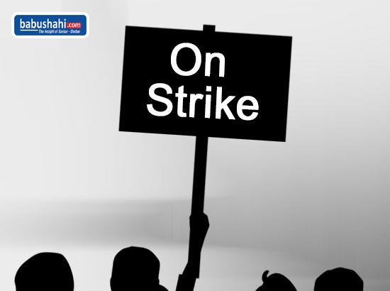 Punjab and Haryana High Court lawyers on strike, read details