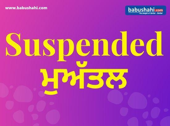 Chief Town Planner Punjab suspended 