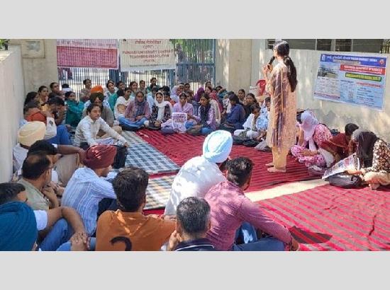 Uniting Voices: The Struggle of Contract Teachers at Guru Kashi Campus Talwandi Sabo