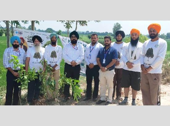SBI, KGS Team Foundation join hands to make Ferozepur Greener; 5,100 saplings planted