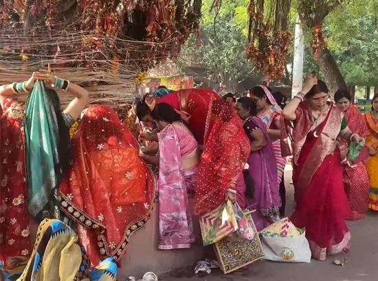 Vat Savitri Vrat 2026: Married women offer prayers at Sangam Ghat in Prayagraj