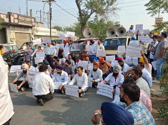 Veterinary doctors stage massive protest in Tarn Taran, demand restoration of pay parity with medical officers