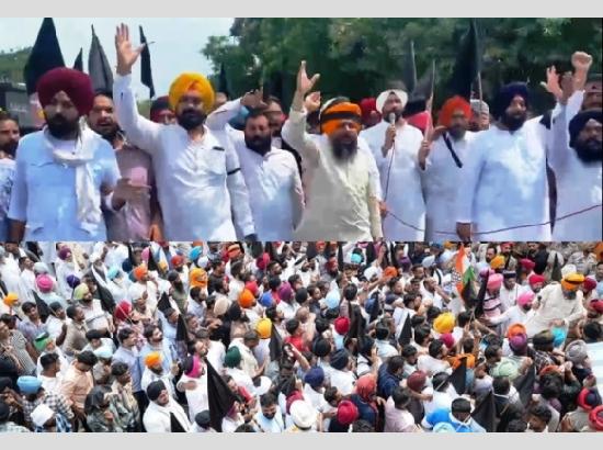 Raja Warring leads black-flag protest against CM Mann in Zira; Congress workers stopped by police
