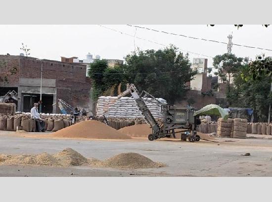 2.43 Lakh MT wheat arrives in Ferozepur mandis; Procurement continues smoothly