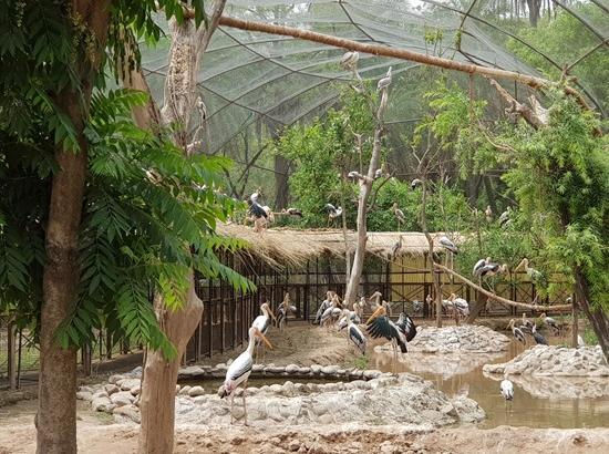 Chhatbir Zoo draws over 2.31 lakh visitors in 5 months