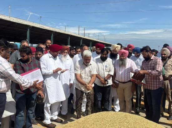Punjab procures 20 lakh metric tonnes of paddy, transfers Rs 3,111 crore to farmers