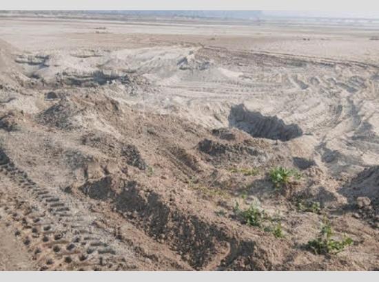 Illegal sand mining racket busted in Sutlej; Complaint sent to CM Mann alleging police, political nexus