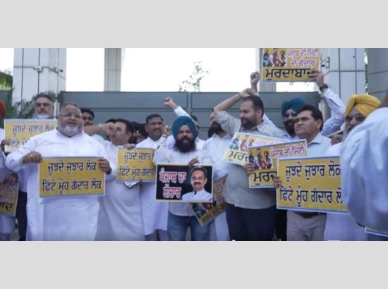 AAP workers protests against MP Harbhajan Singh: ‘Gaddar’ graffiti outside his home; Watch Video