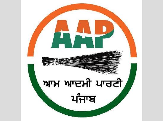AAP Appoints Halka In-Charge To Replace Kunwar Vijay Partap
