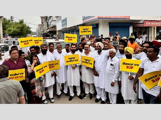 AAP protests against Centre for allegedly sheltering gangsters in jails, assures traders’ safety