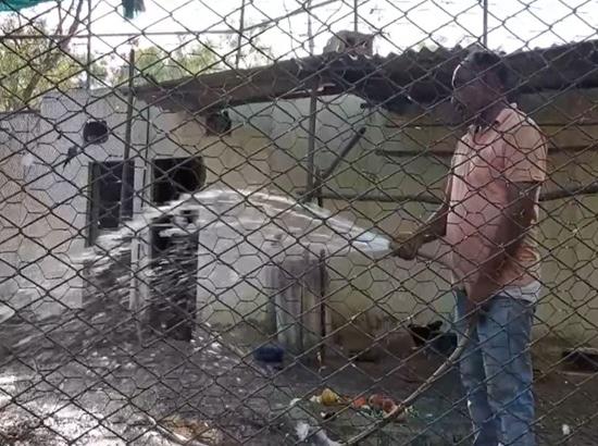 Bathinda Zoo makes special arrangements to protect animals from rising temperatures