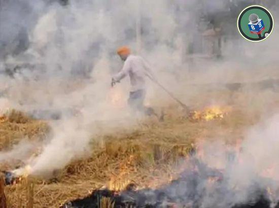 108 new cases of stubble burning reported in Punjab