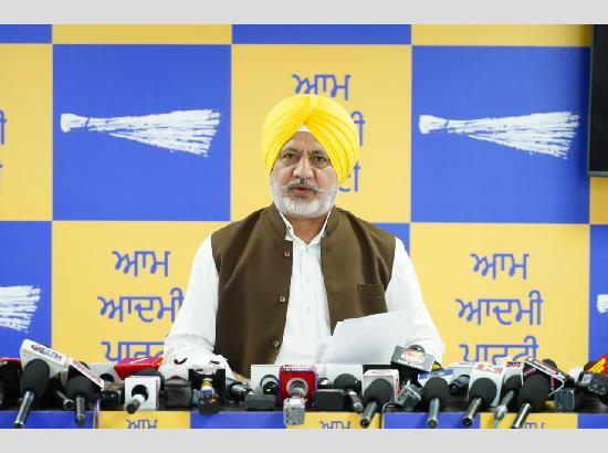 AAP targets Akali Dal over 2015 sacrilege cases, alleges evidence was destroyed to shield guilty officers