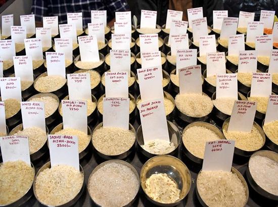 India eyes new rice export markets as shipments to Jordan surge, basmati exports to Turkey double: BIRC