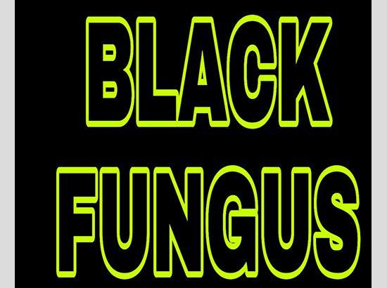 Black Fungus: UT administration to buy 2k vials of Liposomal Amphotericin B injection