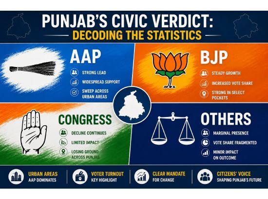 Punjab's Civic Verdict: Decoding the Statistics

